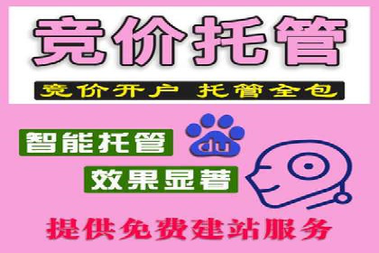 百度推广在电商行业的应用案例分析
